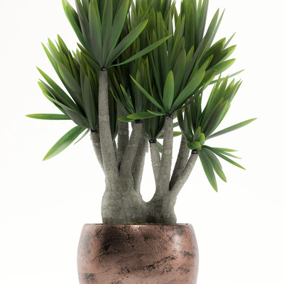 PLANTS 161 — Ver 2