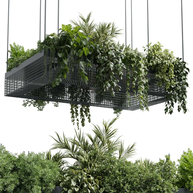 hanging plants - indoor plant set 447 Rectangle pendant pot vray — Скачать