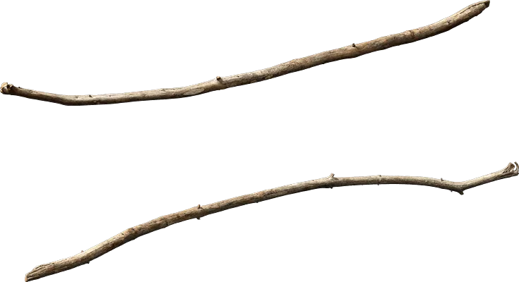 dead tree branch 002 — Скачать