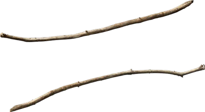 dead tree branch 002 — Скачать