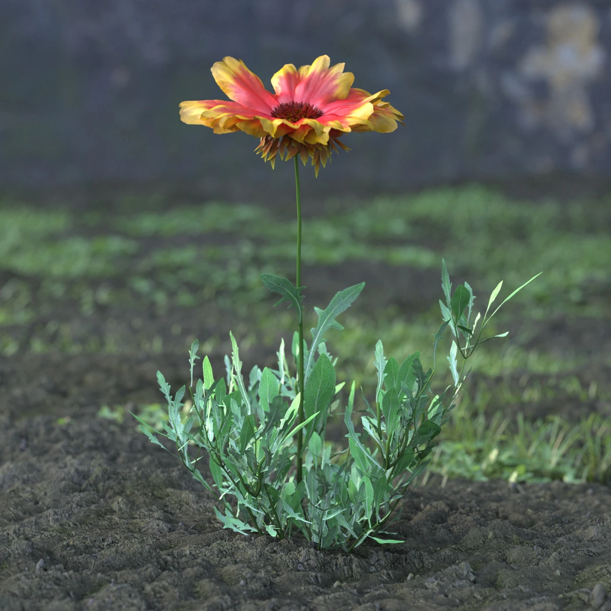 garden flowers 013 — Скачать