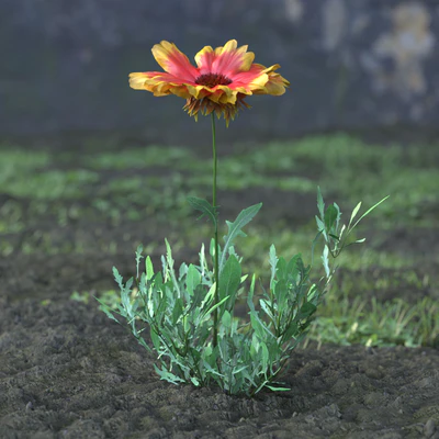 garden flowers 013 — Скачать