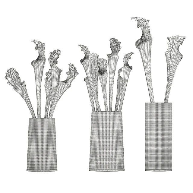 A set of exotic bouquets of Saracenia flowers in glass vases. 180 — Descargar