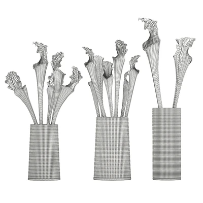 A set of exotic bouquets of Saracenia flowers in glass vases. 180 — Ver 4