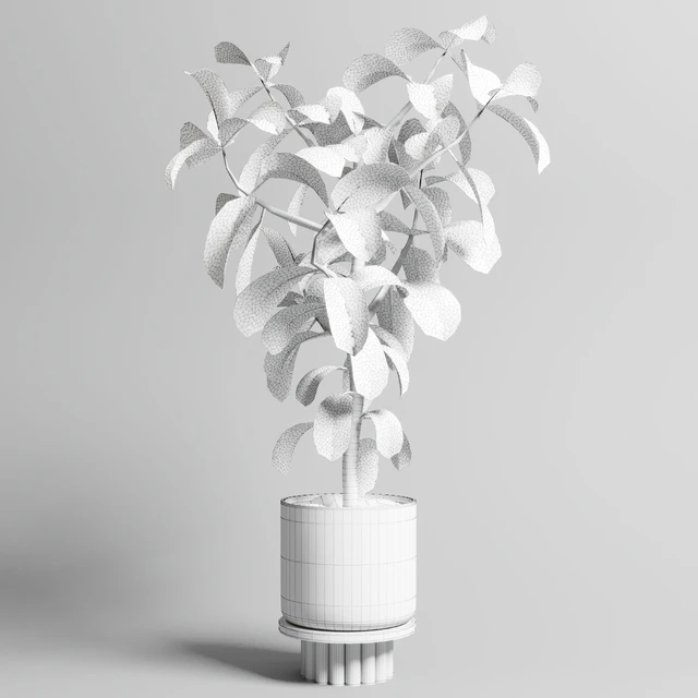 Indoor outdoor plant 106 wood vase pot ficus rubbery — Descargar