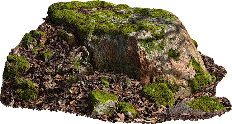 mossy boulder 002 — Descargar