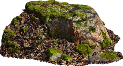 mossy boulder 002 — Descargar