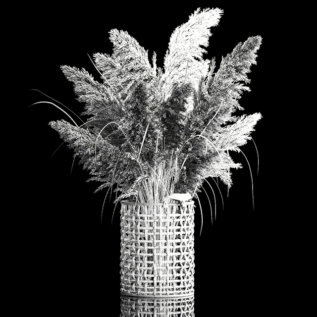 Bouquet of white dried flowers in a wicker basket, reeds, pampas grass, Cortaderia. 256. — Descargar