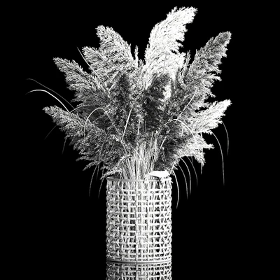 Bouquet of white dried flowers in a wicker basket, reeds, pampas grass, Cortaderia. 256. — Ver 3