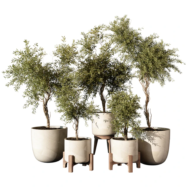 indoor Plant 520 — Скачать