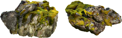 mossy rock cluster 003 — Скачать