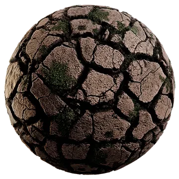 weedy cracked mud 002 — Descargar