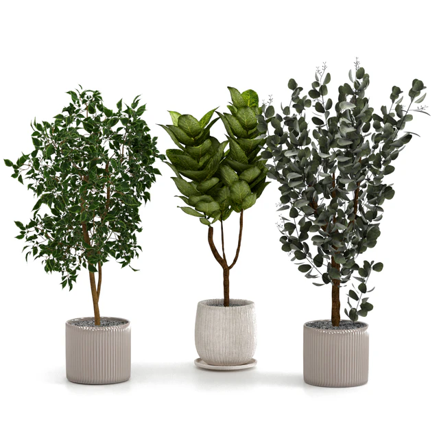 Houseplants set — Descargar
