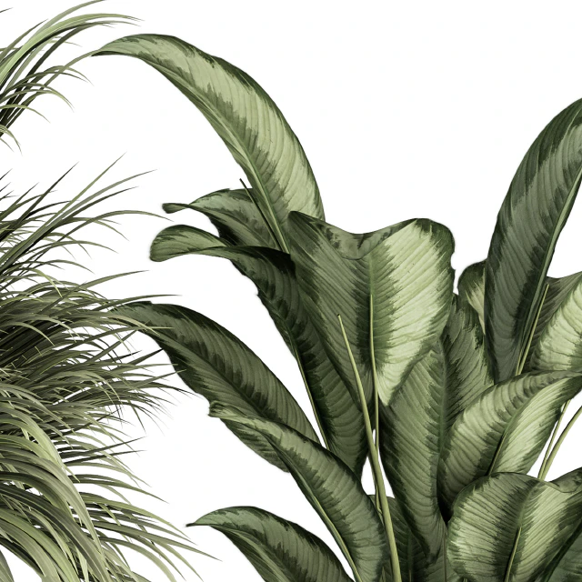 indoor Plant Set 256 - Plant Set in pot — Descargar