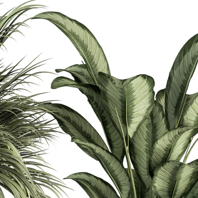 indoor Plant Set 256 - Plant Set in pot — Ver 6