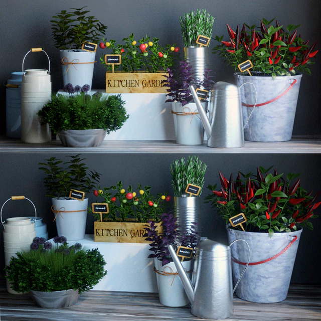 Kitchen garden 2 — Descargar