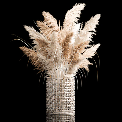 Bouquet of white dried flowers in a wicker basket, reeds, pampas grass, Cortaderia. 256. — Ver 4