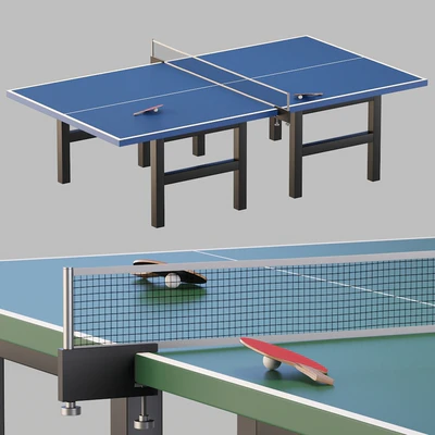 Table tennis — Вид 1