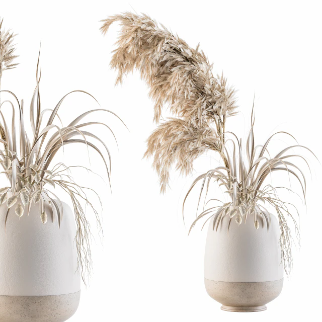 Dry plants 21 — Скачать