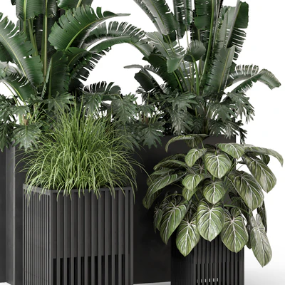 Outdoor Plants Bush in Metal Pot - Set 1074 — Ver 4