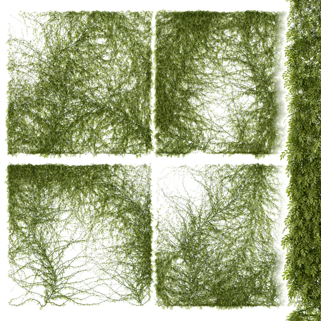 Leaves for walls — Descargar