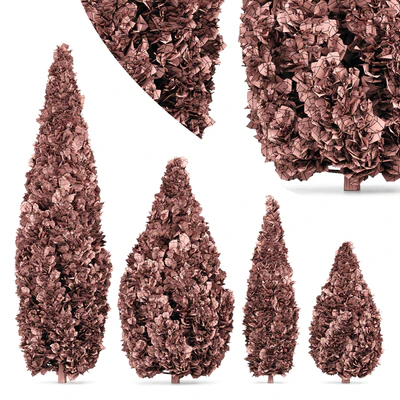 4 Rocky Mountain Juniper tree - Juniperus scopulorum — Ver 2