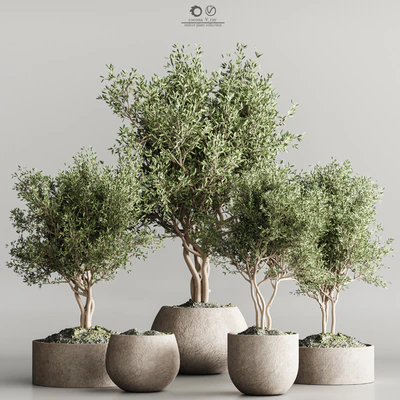 indoor plant stand 61 — Ver 1