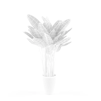 plant — Вид 2