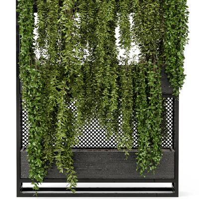 Indoor Hanging Plants in Metal Stand - Set 100 — Ver 2