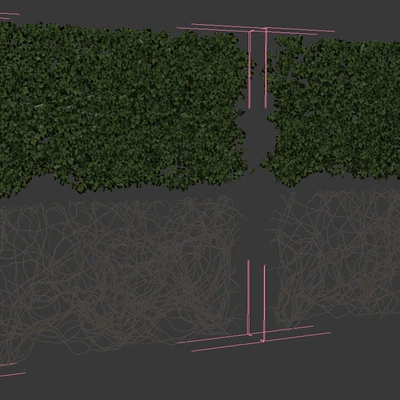 Wall of ivy leaves — View 3