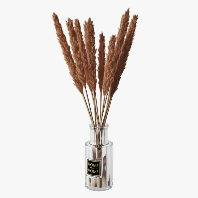 Pampas grass 05 — Descargar