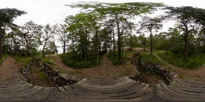 island forest 2015 — Descargar