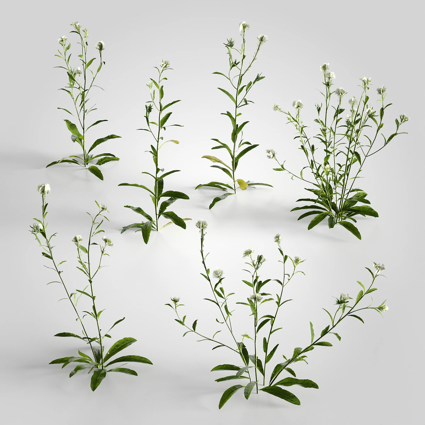 low poly plants 011 — Descargar