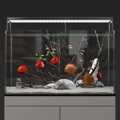 Aquarium discus fish — Ver 1