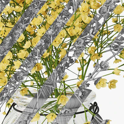 Gypsophila 03 — Ver 5