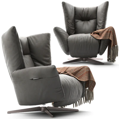 Armchair Natuzzi Tulip 3031 — View 4