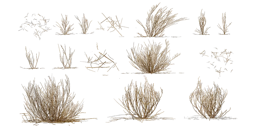 dead shrubs 002 — Скачать