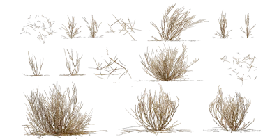 dead shrubs 002 — Скачать