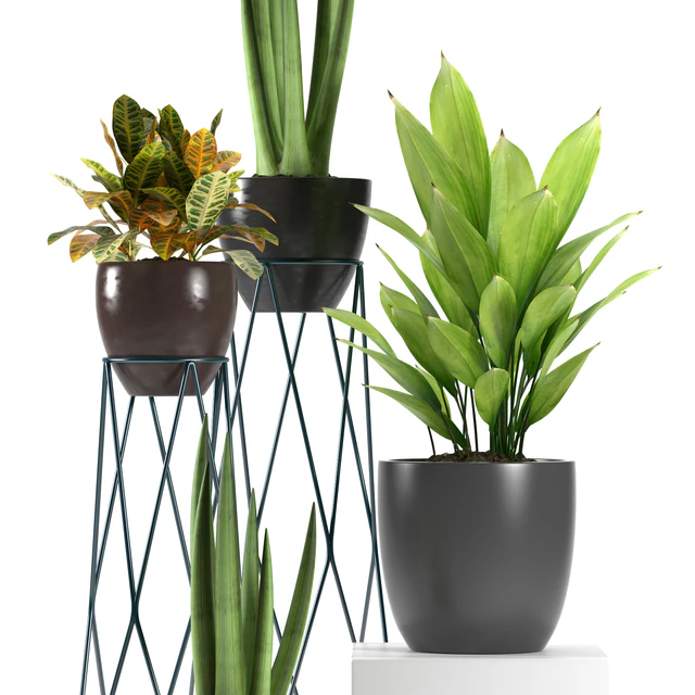 PLANTS 80 — Скачать