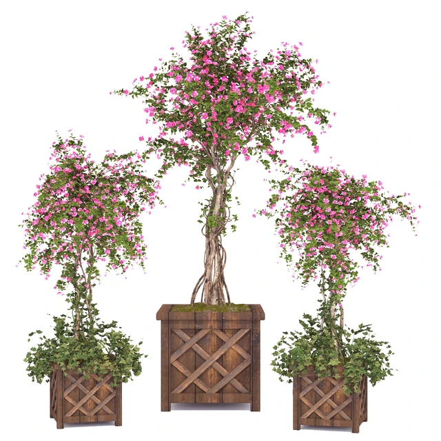 spring outdoor plants 03 — Скачать