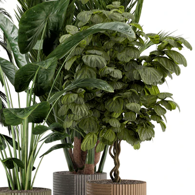 Indoor Planters in Cecilia Ficonstone Pot - Set 349 — Вид 4