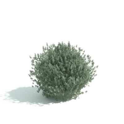 hedges 060 — Скачать