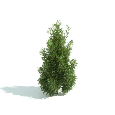 hedges 029 — Скачать