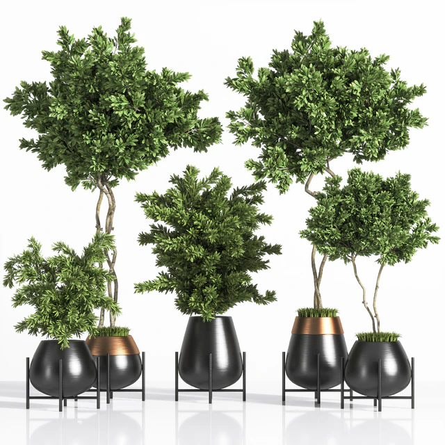 indoor plant set 01 — Скачать