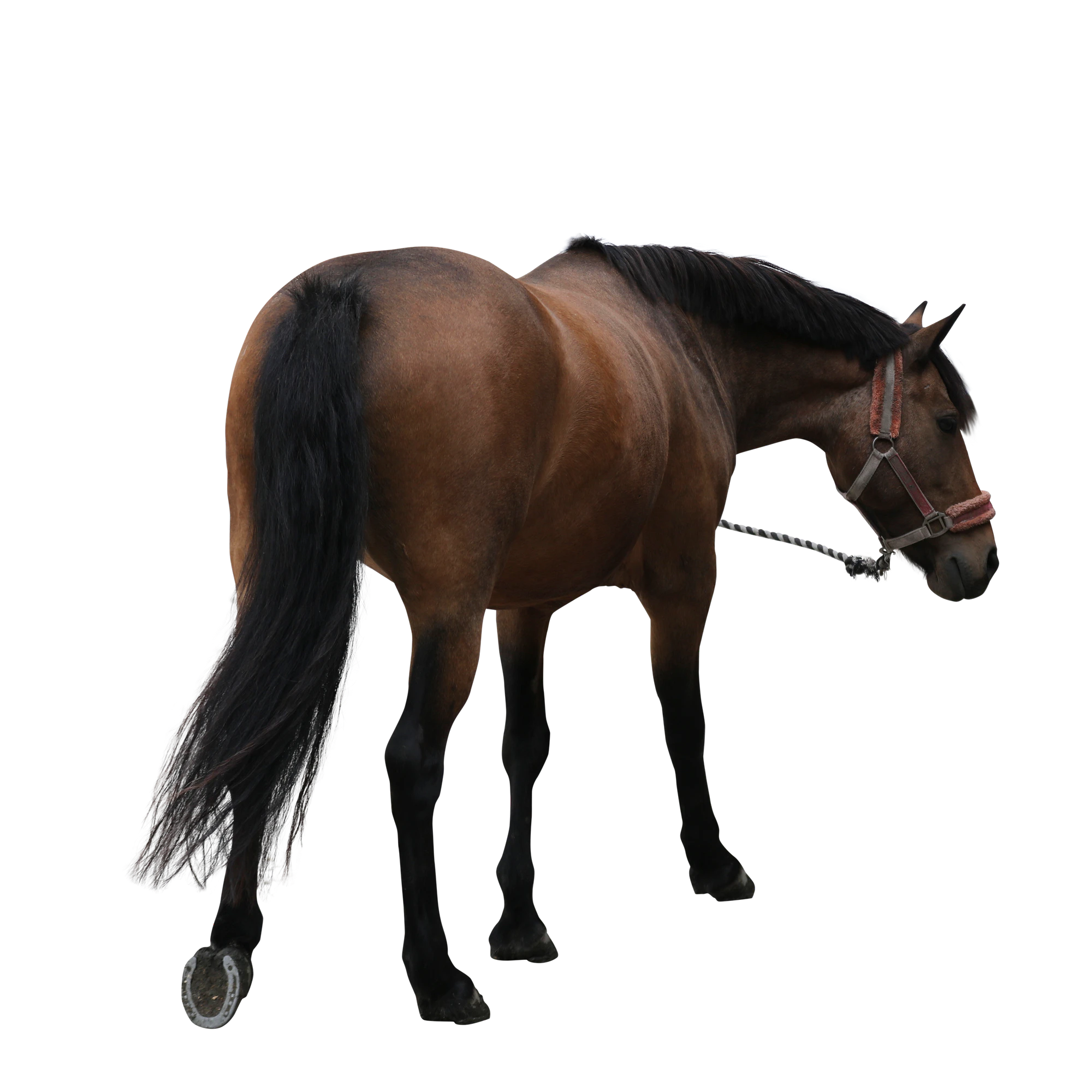 048 — Скачать