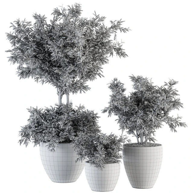 Outdoor Plant Set 203 - Plant and Tree in Pot — Descargar