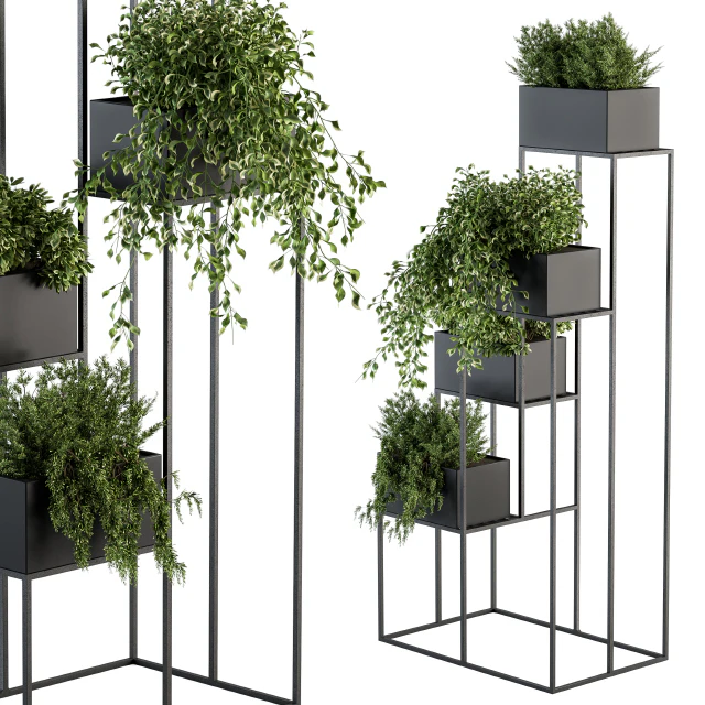 indoor Plant Set 100 - Black stand — Descargar