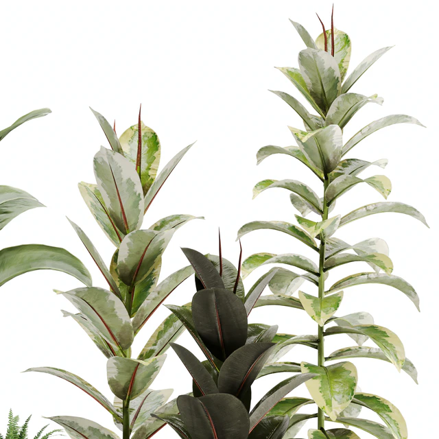 indoor plant Set 12 — Скачать