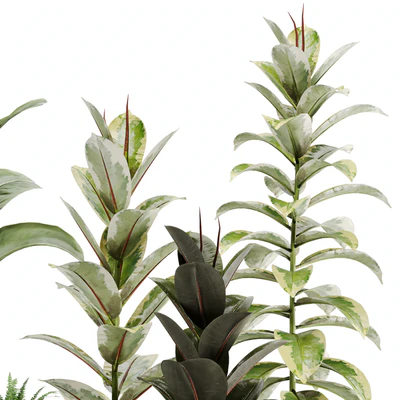 indoor plant Set 12 — Вид 5