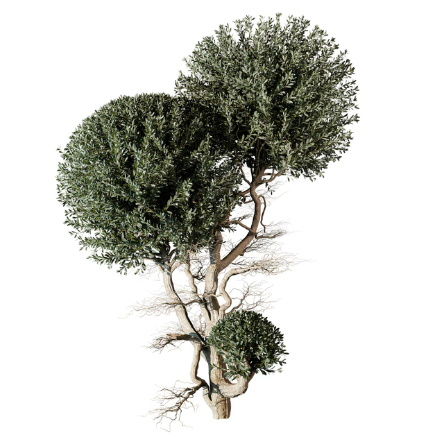 tree vol 17 — Descargar